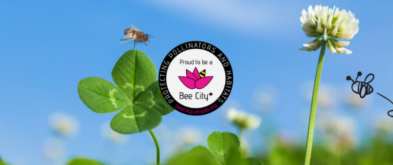 bee city logo - with clover and dandelion