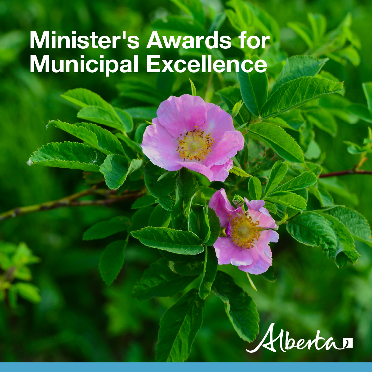 Minister's Award for Municipal Excellence