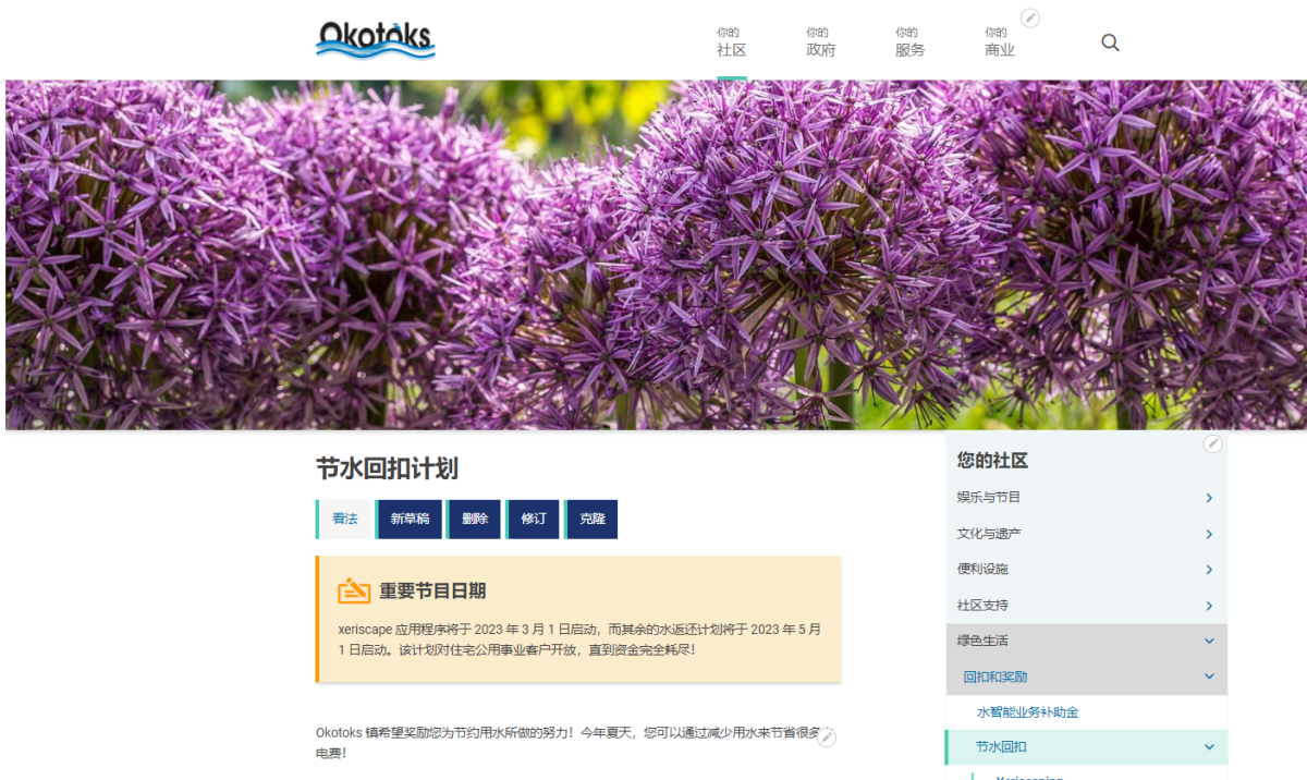 Screen shot of okotoks.ca translated to Japanese