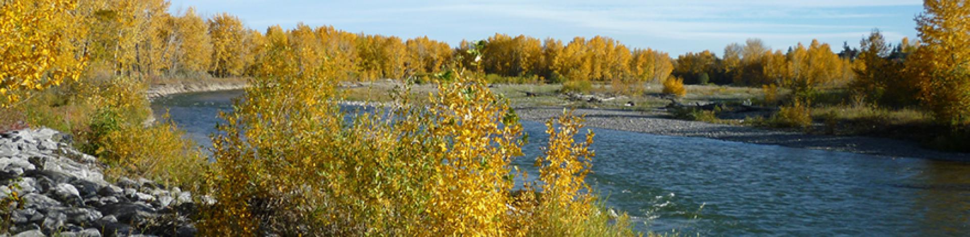 Photo of Sheep River