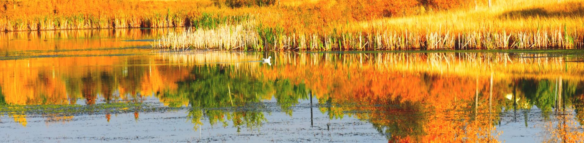 Stormpond in Fall; photo credit: J.R. Parker
