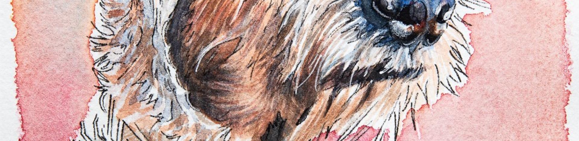 Watercolour painting of a dog's head, looking to the right.