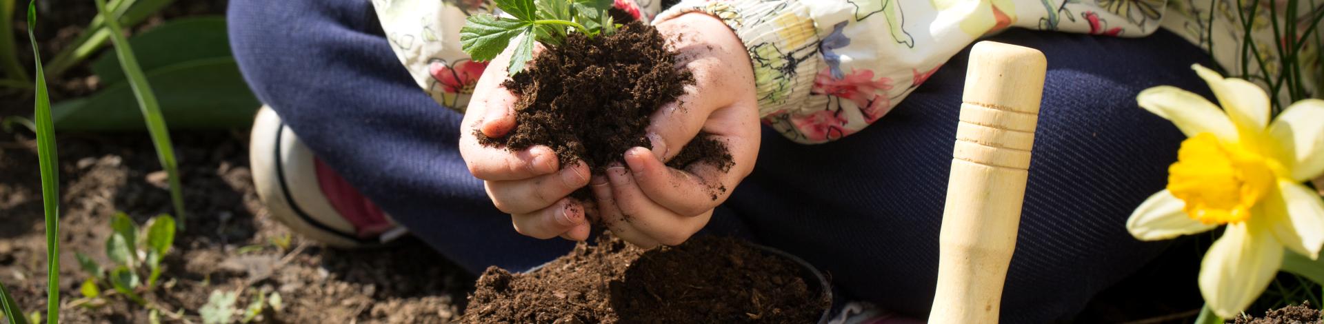 person kneeling in garden with dirt and plant in their hands