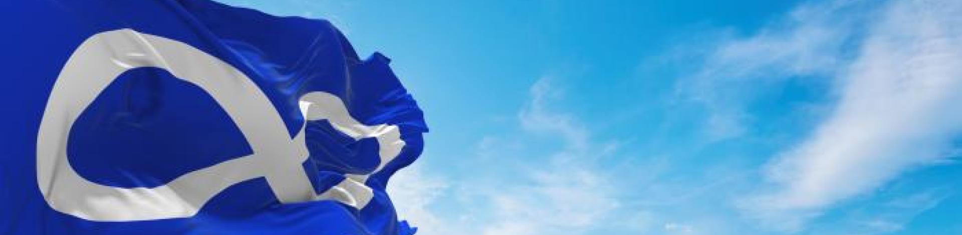 Métis flag