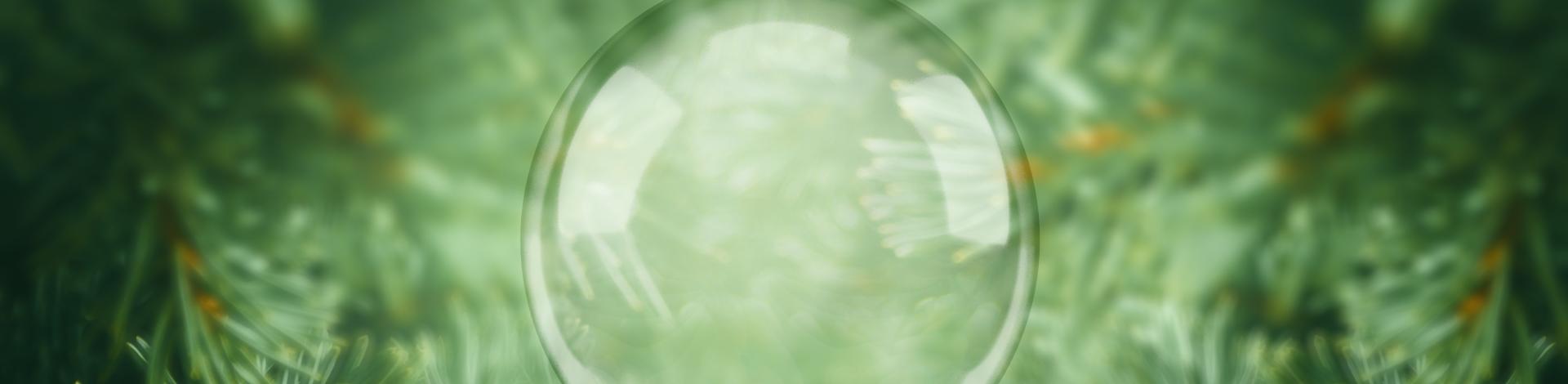 a tree with a clear ornament