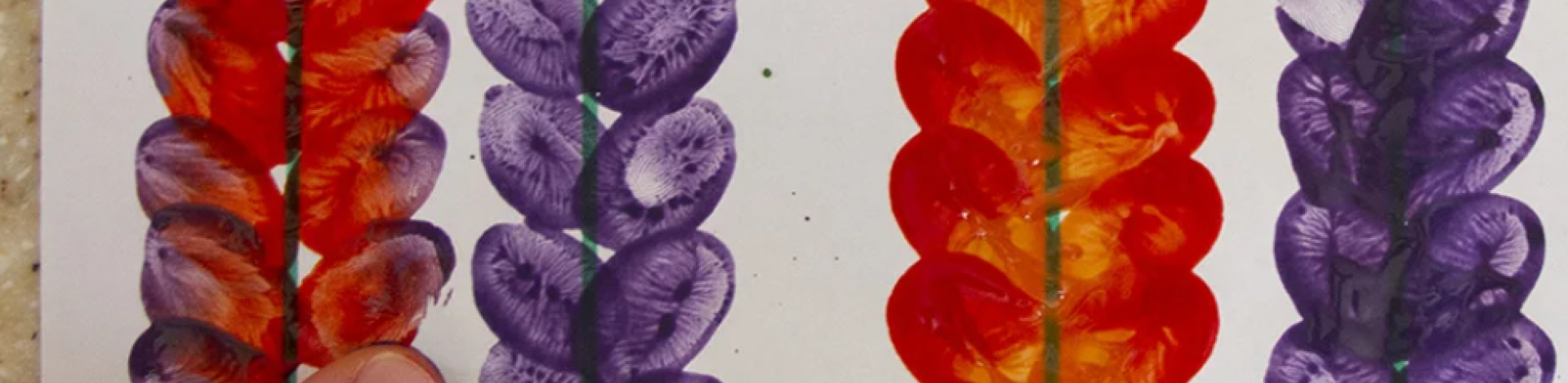 Purple and red snapdragons made with fingerpaint.