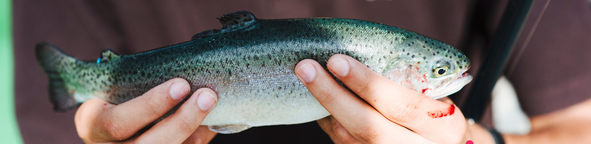  Close-up of man's hand holding caught fish