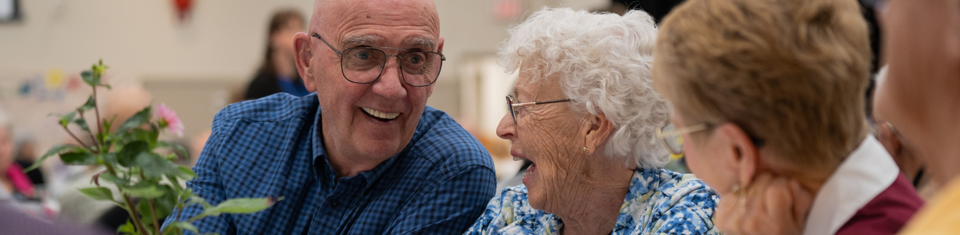 A group of seniors is seen chatting and laughing with one another