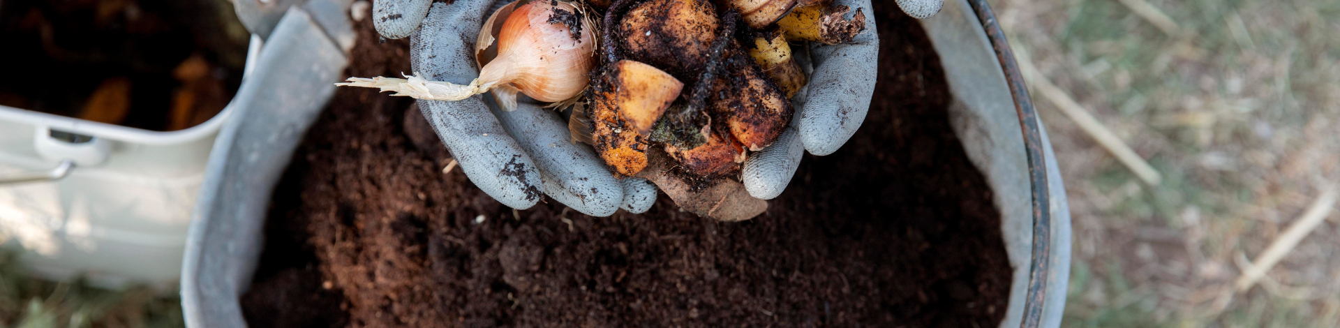 hands hold organic material above a pile of compost