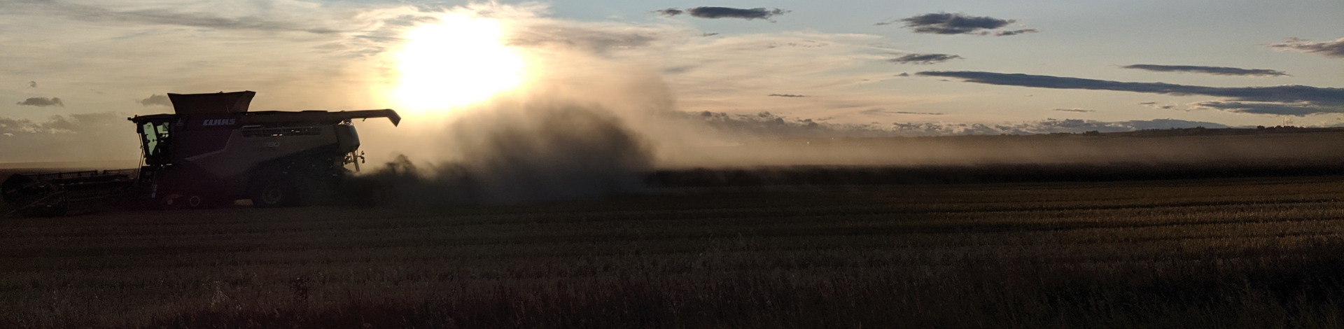 A combine harvests fields at sunset
