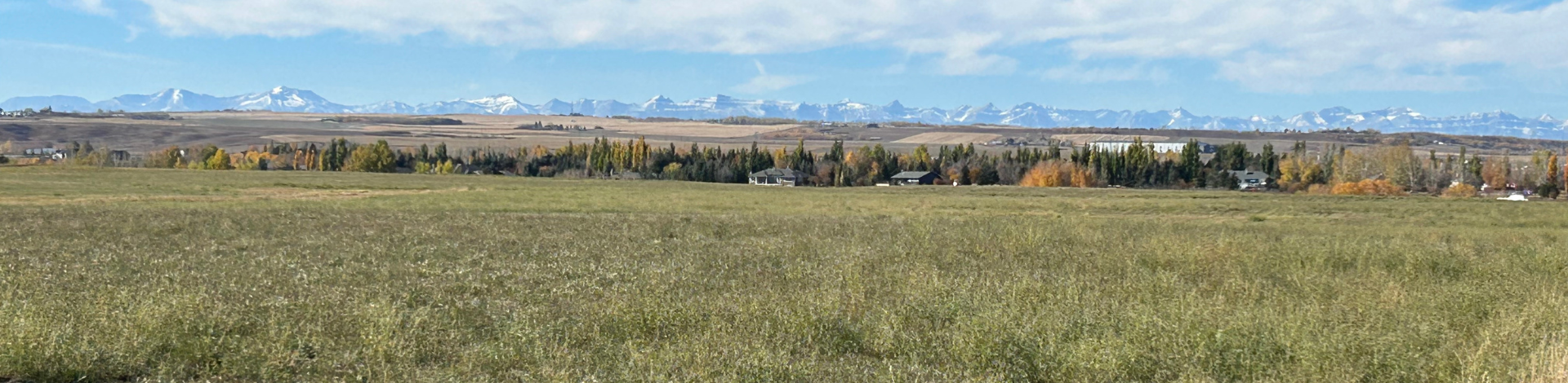 a wide grassland spawls before the tree line and mountains
