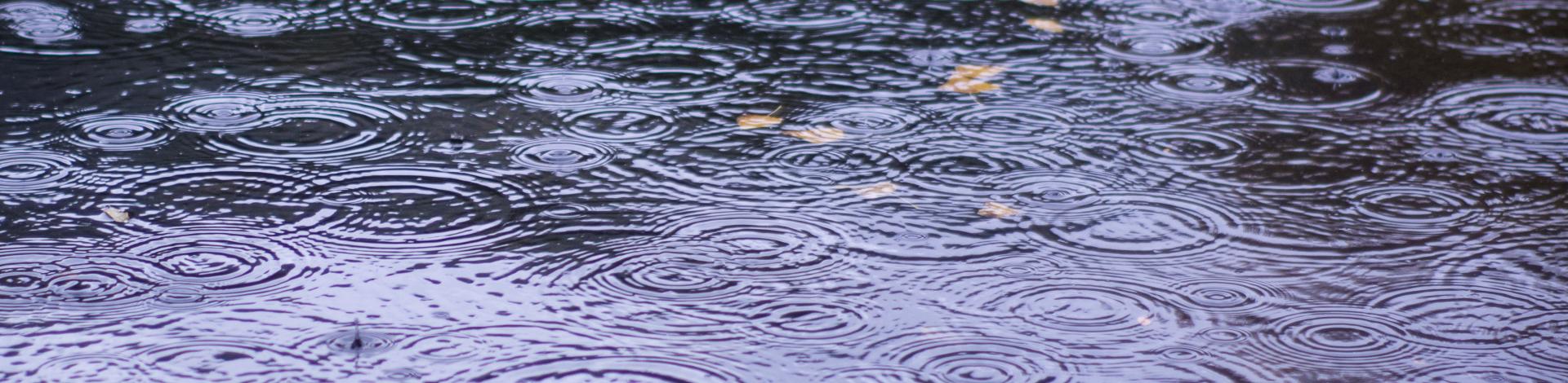 raindrops fall onto a lake or puddle