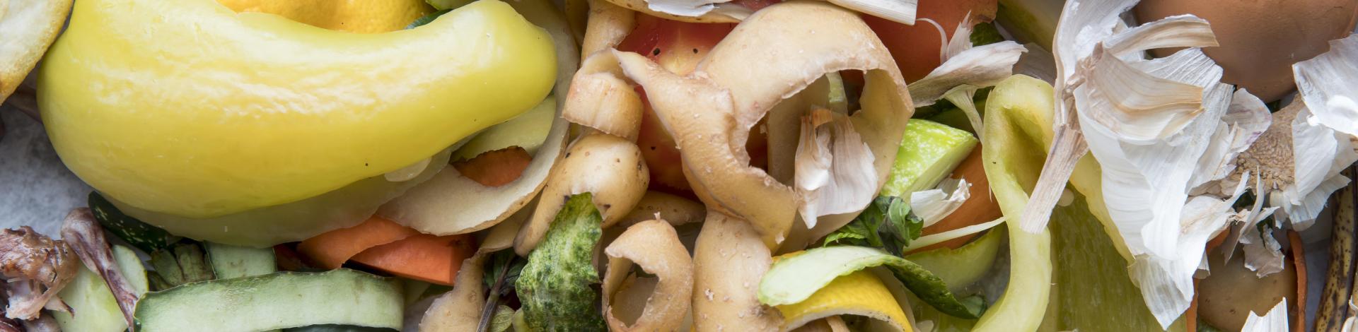 A collection of food waste & scraps