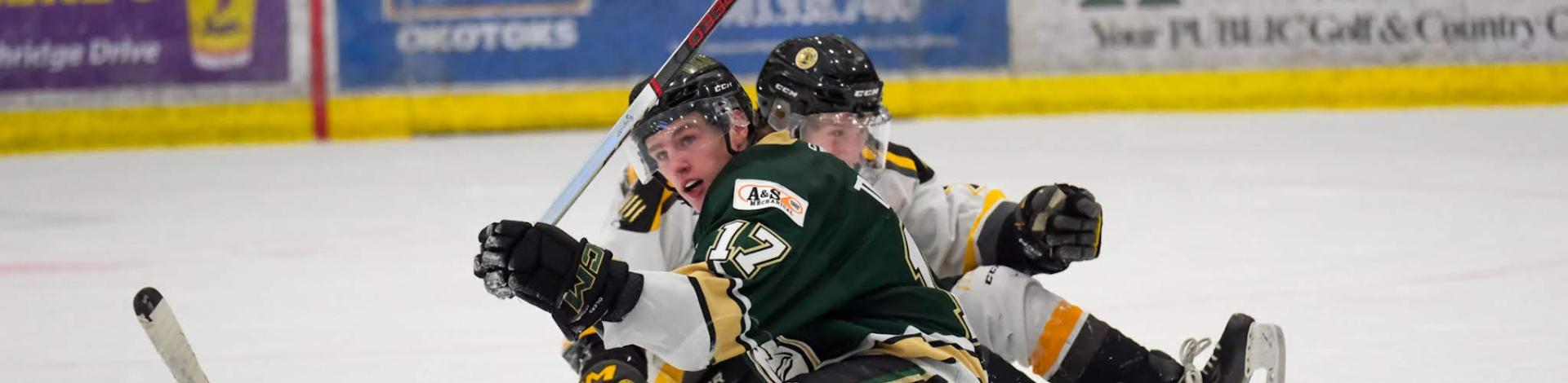 a hockey player on the ice
