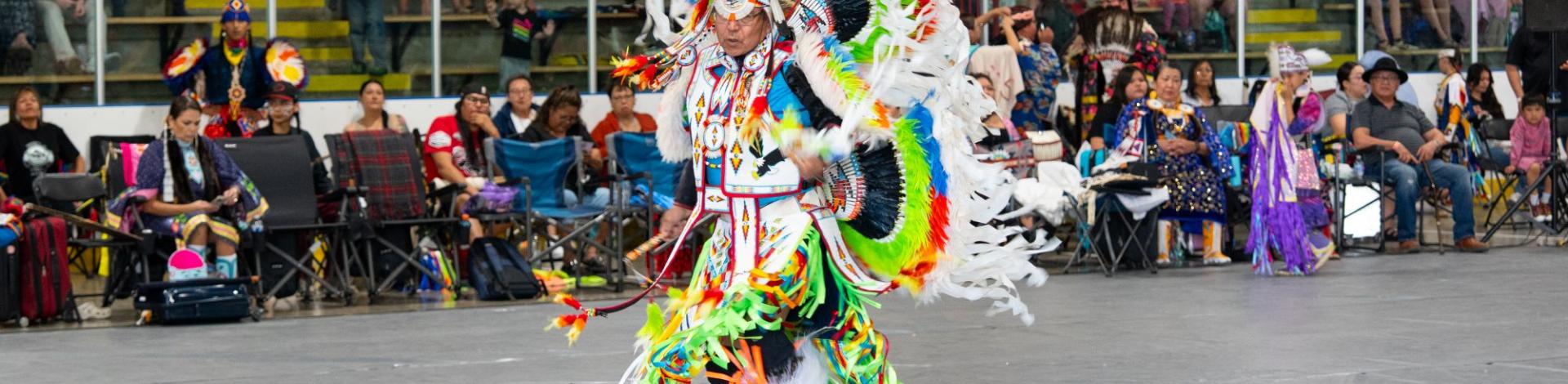 Powwow dancer 2025