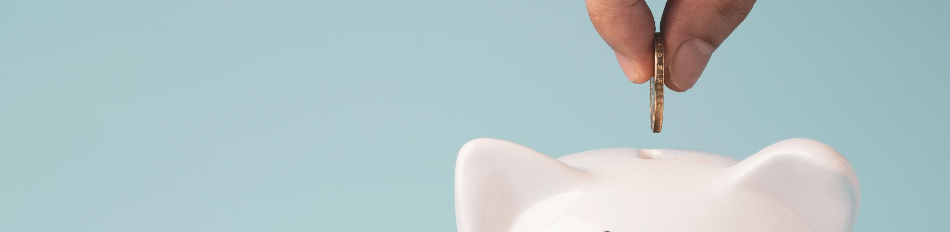 coin to white piggy bank saving