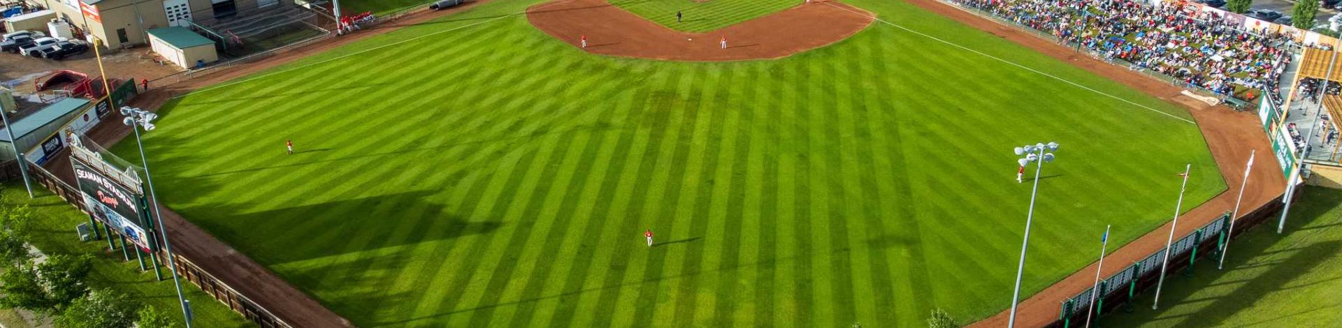Dawgs Stadium Dawhs Baseball