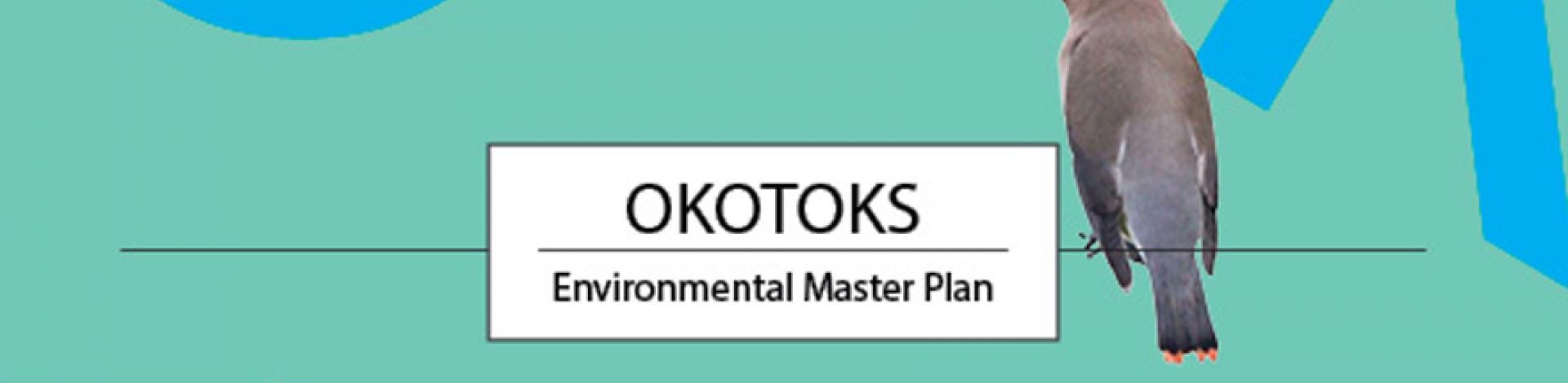Environmental Master Plan