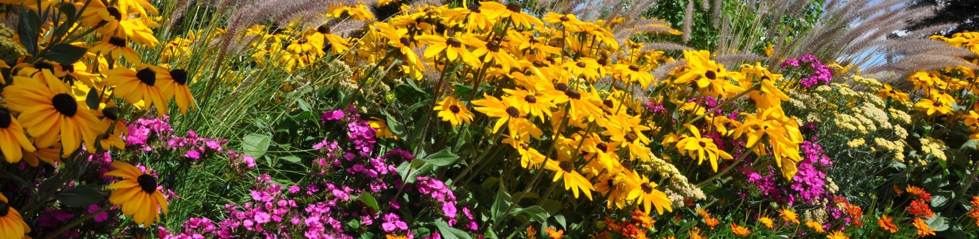 Gardening & Horticulture