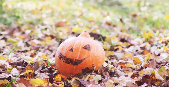 smiling halloween pumpkin sitting in autumn leaves