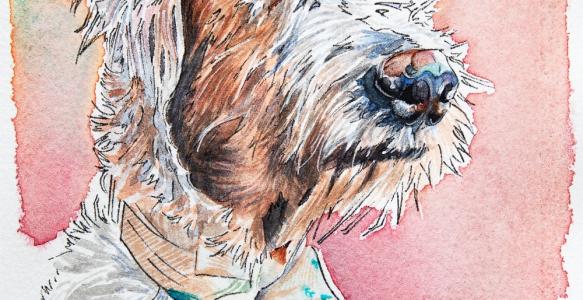 Watercolour painting of a dog's head, looking to the right. 