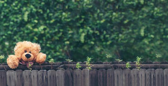 Teddy Bear on fence