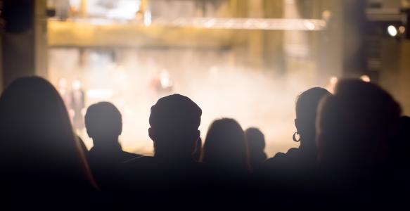 audience in the theater watching a play