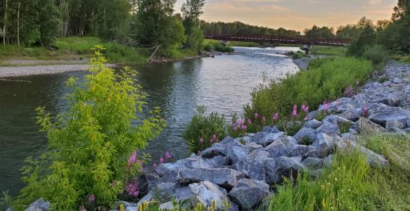 Sheep River
