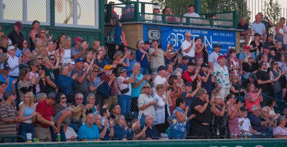 Fans at Seaman Stadium cheer during a concert 