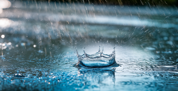 raindrop in a puddle
