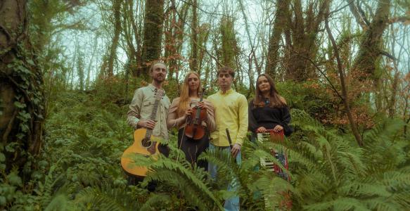 Tulua in the forest