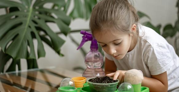little girl planting seeds to grow in pots