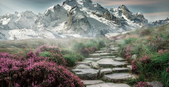 Photo of a snowy mountain with stone steps leading towards it.