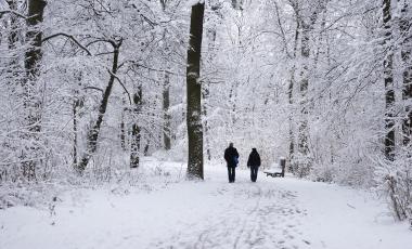 Couple walking in the winter on snowy path