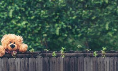 Teddy Bear on fence