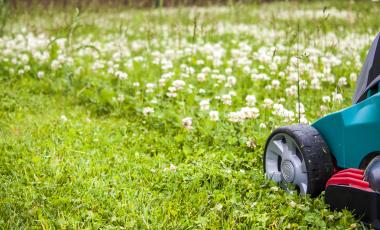 Drought tolerant clover turf Outdoor Summer Spring Lawn Mower