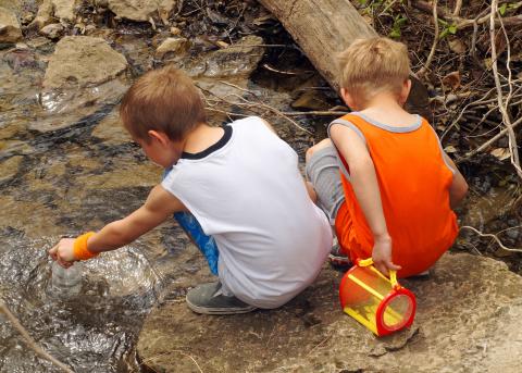 Children with a cage finding bugs, frogs and shells in a stream