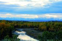 Okotoks Sheep River with Mountains in background