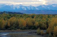 Okotoks river and mountain shot in fall 