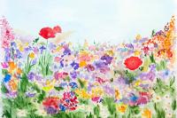 Summer flowers in the garden watercolor hand-painted