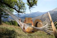 Young woman reading book in hammock