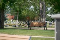 Okotoks Cemetery - Summer 2025