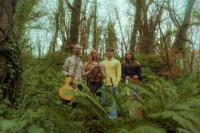 Tulua in the forest