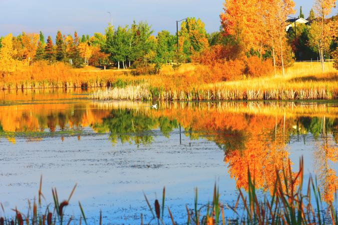 Stormpond in Fall; photo credit: J.R. Parker