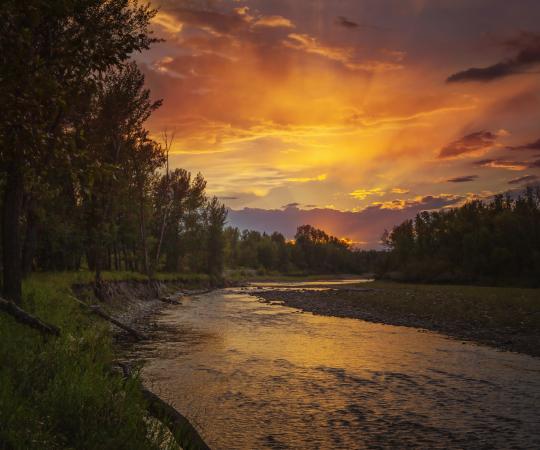 Sheep River at sunset - photo credit: Lisa Forseth