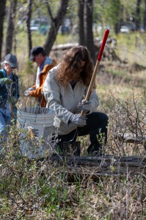 Community Clean Up and tree planting