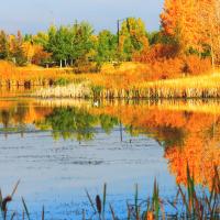 Stormpond in Fall; photo credit: J.R. Parker