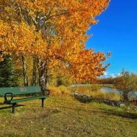 Park bench on a green knoll with trees with orange leaves in background