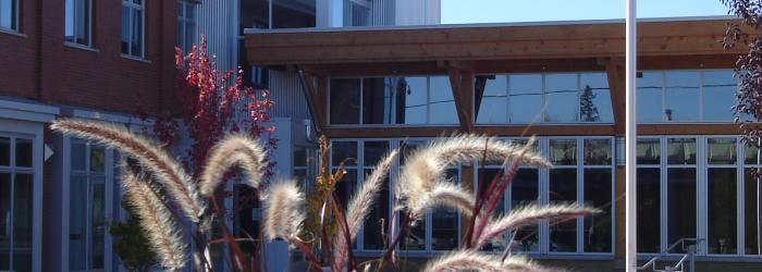 Muni centre photo