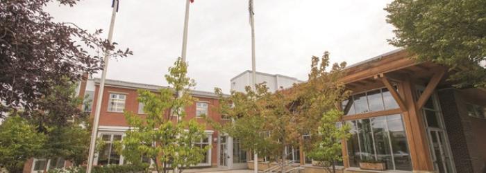 Municipal Centre flags